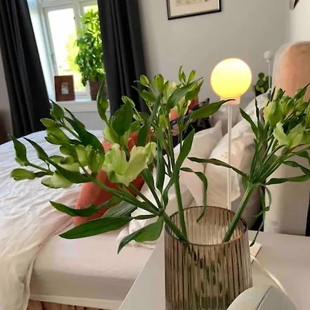 Villa Big 10 Min Walk From Citycenter-swimmingpool Stavanger